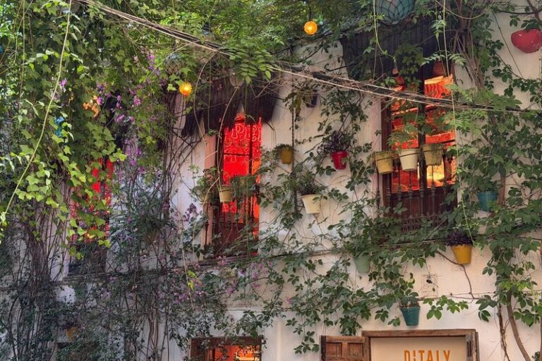 Fachada con plantas del restaurante italiano Ditaly en Jerez, perfecta para cenar pizza italiana cerca de la plaza del Arenal